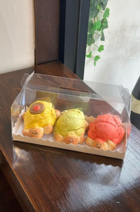 거북이3구 선물세트